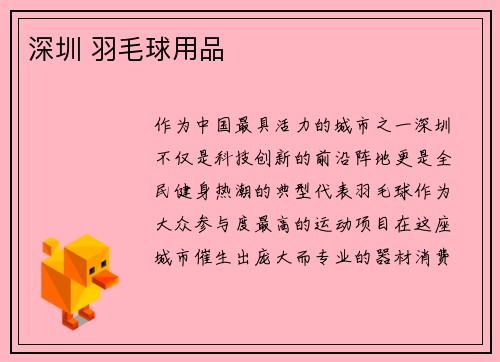 深圳 羽毛球用品
