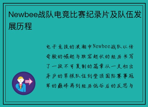 Newbee战队电竞比赛纪录片及队伍发展历程